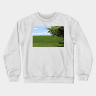 green field Crewneck Sweatshirt